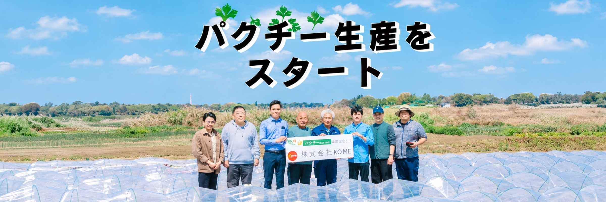 パクチー生産をスタート